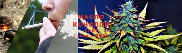 крисы Каменногорск