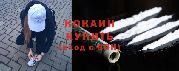 крисы Каменногорск