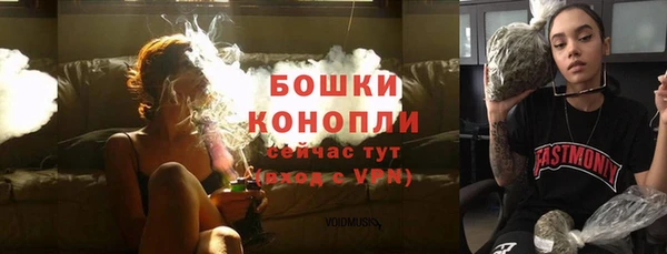 крисы Каменногорск