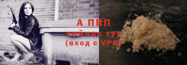 ГАЛЛЮЦИНОГЕННЫЕ ГРИБЫ Каменка