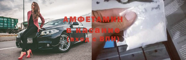 крисы Каменногорск