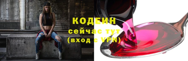 ГАЛЛЮЦИНОГЕННЫЕ ГРИБЫ Каменка