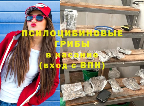 крисы Каменногорск