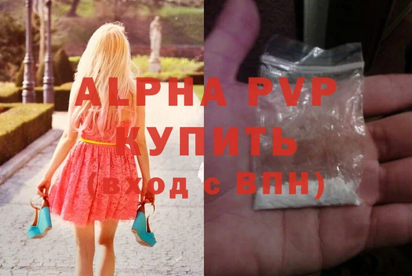 ГАЛЛЮЦИНОГЕННЫЕ ГРИБЫ Каменка