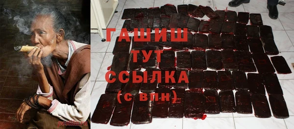 ГАЛЛЮЦИНОГЕННЫЕ ГРИБЫ Каменка