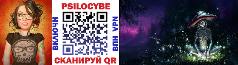 Купить где  Шиханы  Псилоцибиновые грибы Psilocybine cubensis 